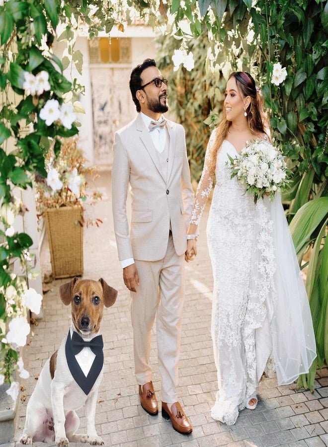 KOOLMOX Cat Tuxedo Wedding Outfit, Dog Tux Bow Tie Bandana, Adjustable Dog Formal Outfit Dress Collar for Small Medium Dogs Cats (S, Black) - Image 5